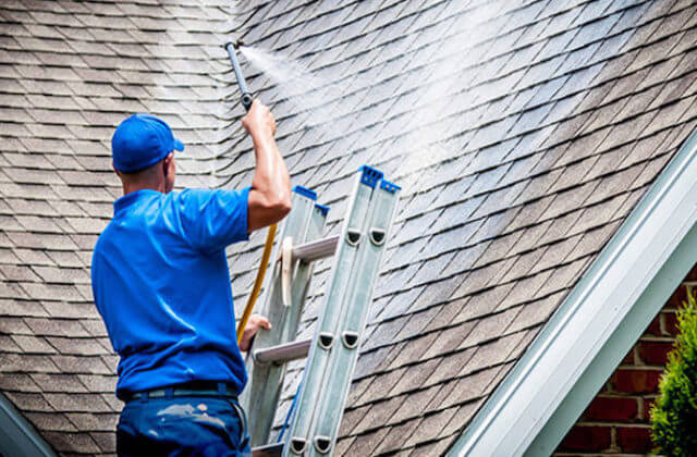 savannah roof cleaning